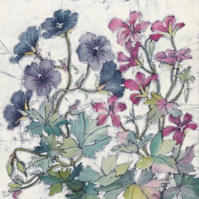 No.272 Cranesbill Geranium.