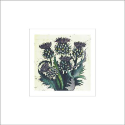 No.503  Cardoon - signed Small Print.